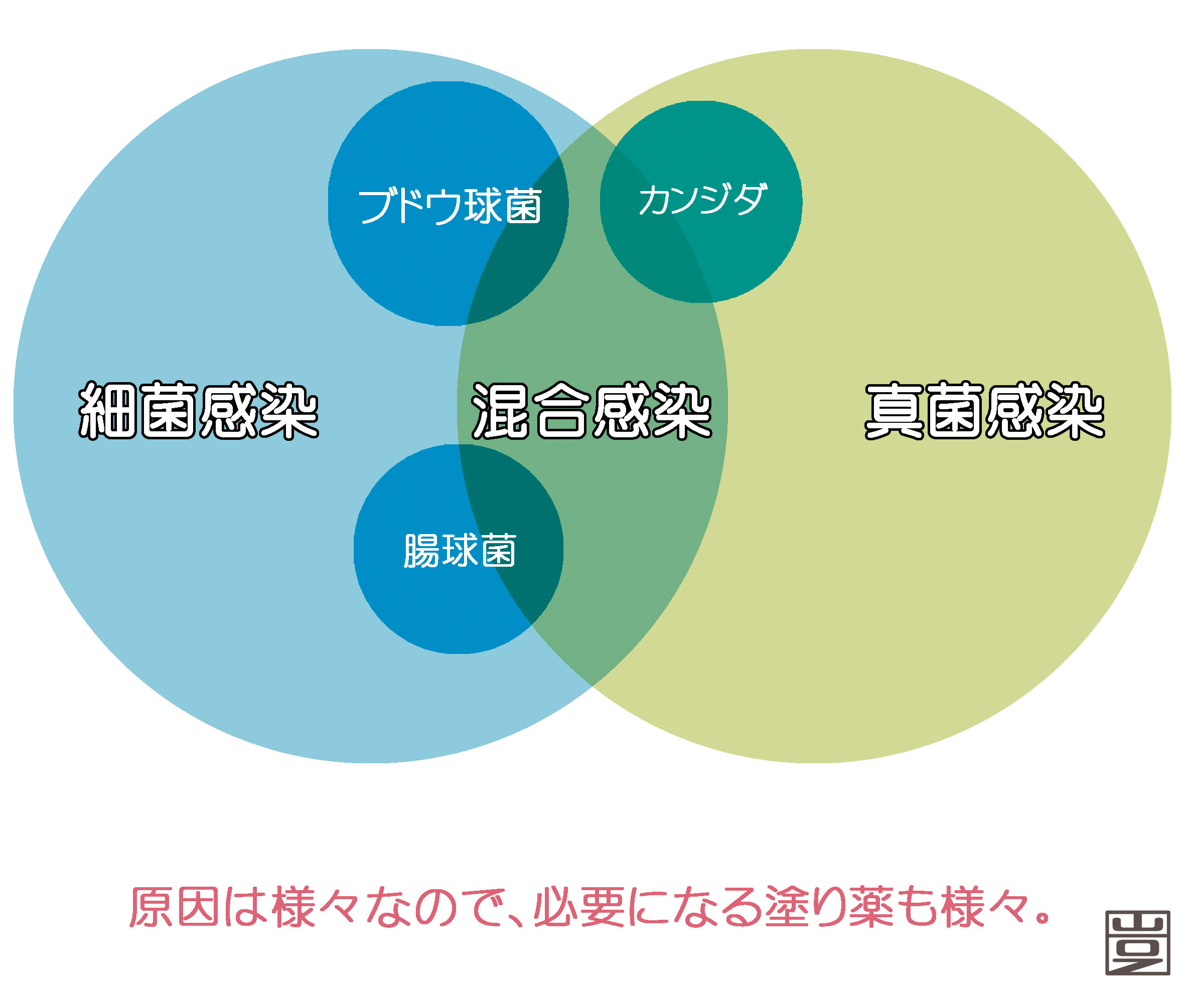 亀頭包皮炎とは 原因 症状 検査 治療など 新宿駅前クリニック泌尿器科