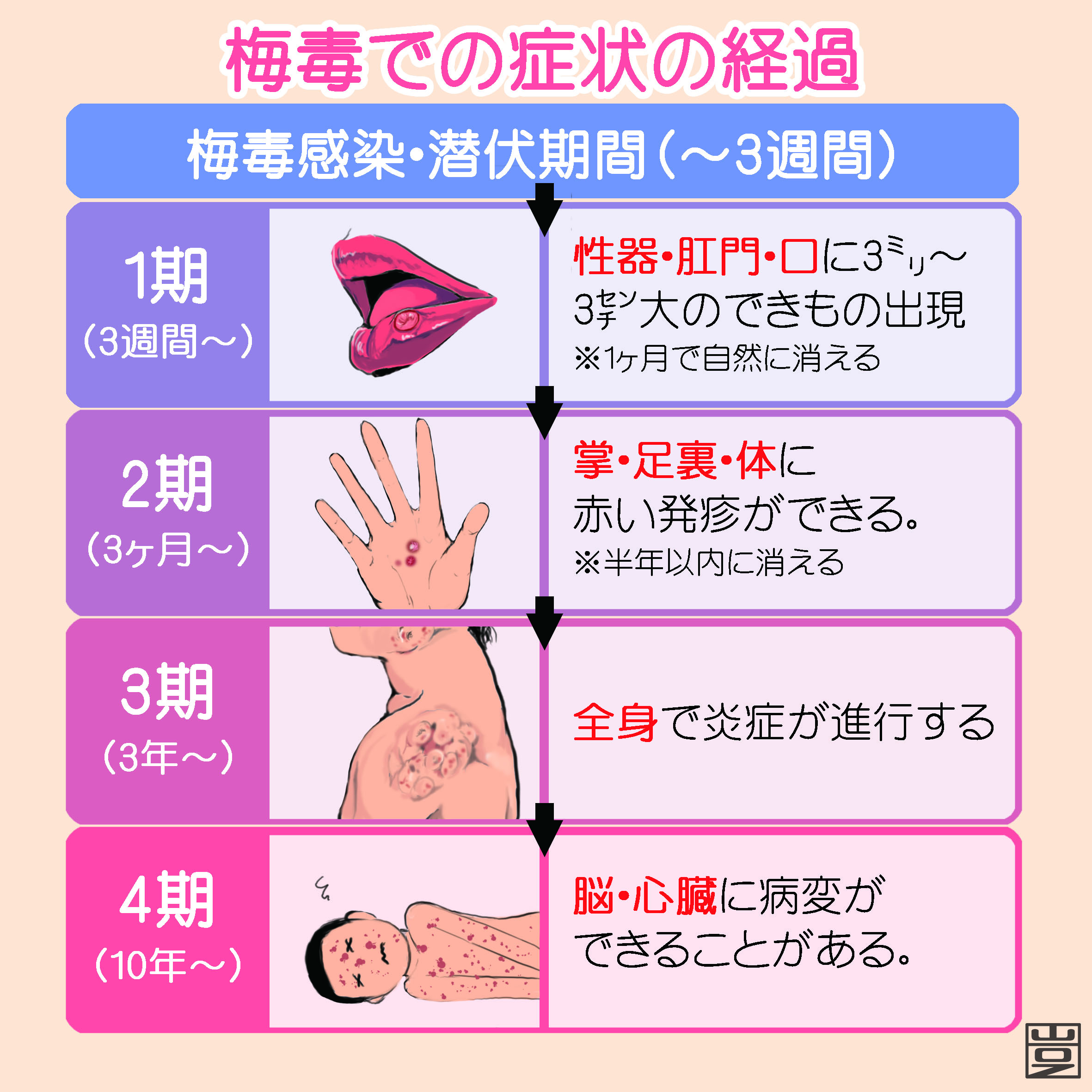 梅毒 男性 の 症状