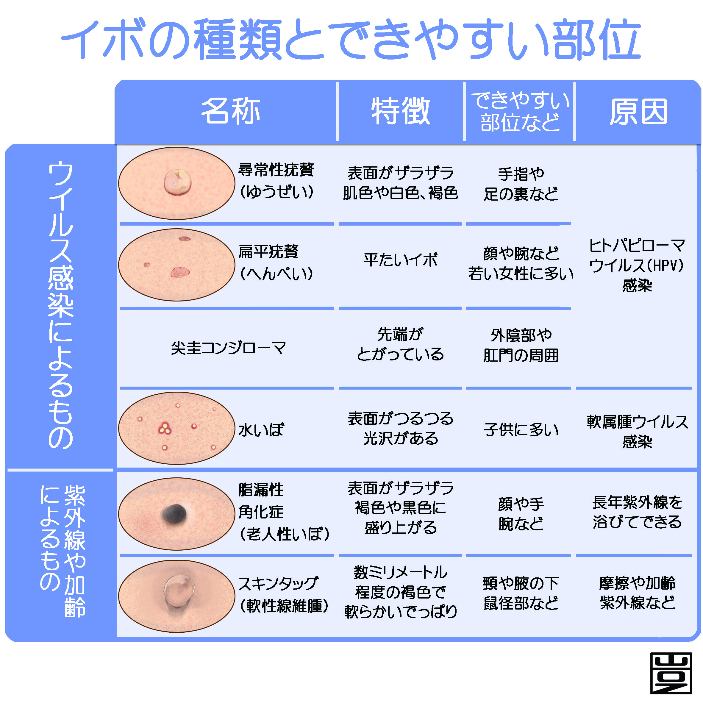 血豆 陰部 に